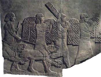 Ассирия. Сцена охоты. Рельеф из дворца Ашшурнасирпала II в Кальху (современный Нимруд).